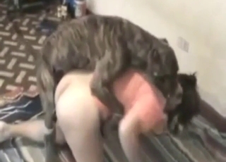 Lady in a colorful t-shirt fucks a brown dog