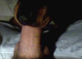 Oral bestiality sex with a dog that sucks well