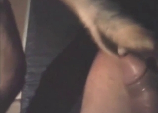 Hot zoophile scene with wet close-up action