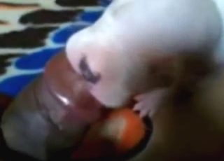 Start them young with that bestiality sex