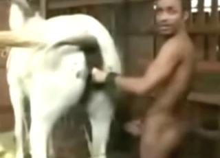 Confident zoophile wants to gape the mare hole