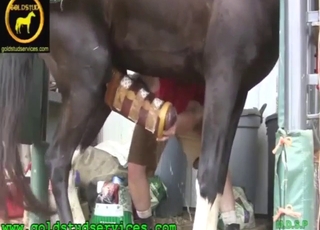 Horse featured in a zoo sex scene with teasing