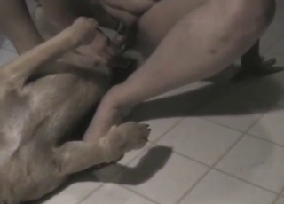 Zoophilic lady is going to tease the dog on floor