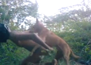 Doggystyle ass fuck with a hot person OUTSIDE