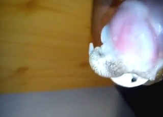 Dude with a nice-looking cock fucks a snail