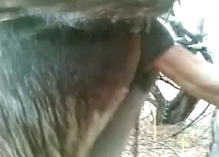 Zoophile porn with donkey fucking, it's mad