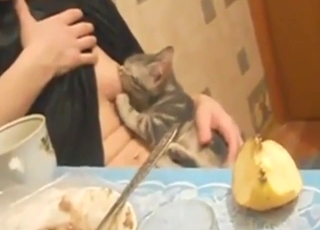 Zoo sex shows a sexy girl using her tits for a cat