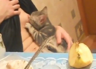 Zoo sex shows a sexy girl using her tits for a cat