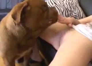 Hot zoo XXX with a lady who gets licked by dog