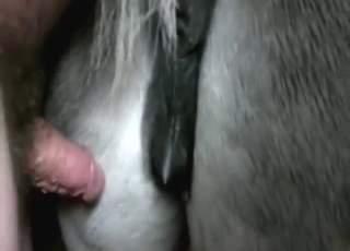 Mad bestiality sex with close-up orgasms