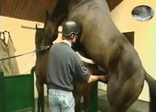 Zoophiles oversee zoo XXX with two horses