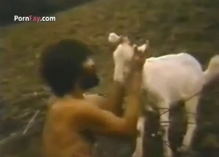 Outdoor vintage bestiality porn with goat sex