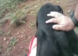 Doggystyle fuck with a pale-skinned zoophile