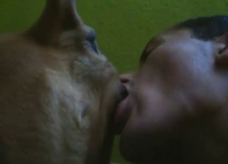 Eager dude just DEVOURS a dog's hot pussy