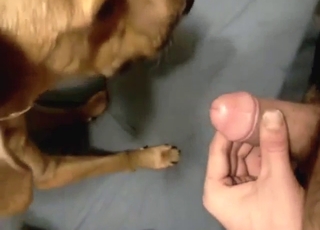 Messy POV creampie with a slutty animal filled