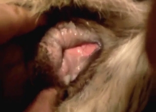 Messy POV creampie with a slutty animal filled