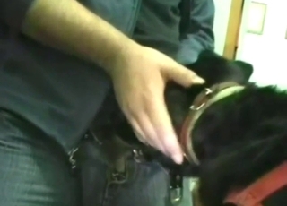 Incredible dog fuck scene: a guy who fucks mouth