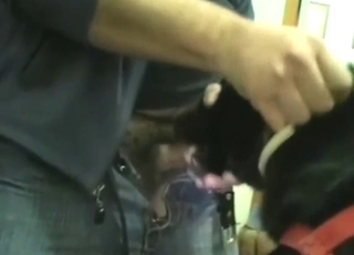 Incredible dog fuck scene: a guy who fucks mouth