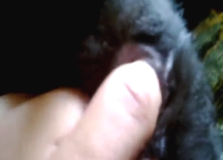 Animal clit looks hot as fuck in a close-up movie