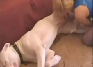 Plugged-up teen slut treating a dog cock well