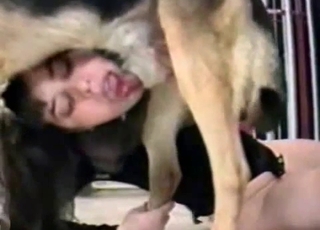 Pervert brunette wants to suck a dog cock like a slut