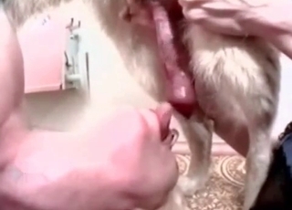 Doggy dick licked by a sweet zoophile