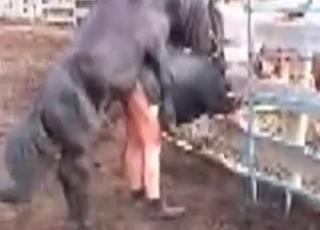 Passionate outdoor sex with a sweet beauty