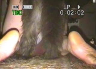 Rough sex with a horny zoophile and a cute hound