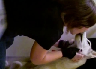 Sweet bestiality sex action with a cute animal