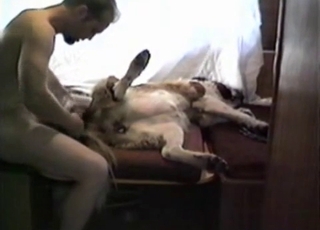 Horny fellow is having his way with a puppy