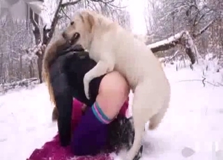 Amateur with a blond hair fucking a dog in the snow