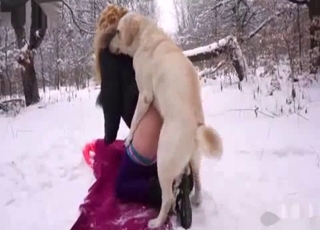 Amateur with a blond hair fucking a dog in the snow