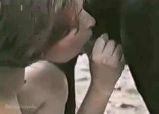 Suck this horse cock