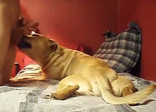 Doggy gives my husband a very passionate blowjob