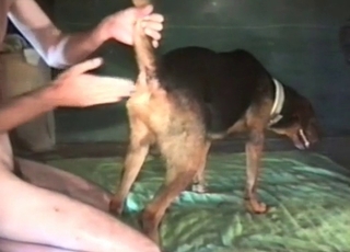 Filthy as fuck bestiality sex action with my wife