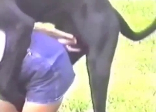 Beauty and her Doberman are enjoying bestiality dog fuck