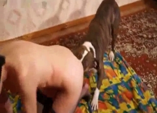 Babe in mask gives tons of pleasure for her animal