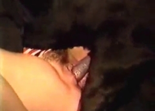 Dirty bestiality with a nice black mutt
