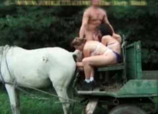 The asshole of this insatiable horse looks really fuckable