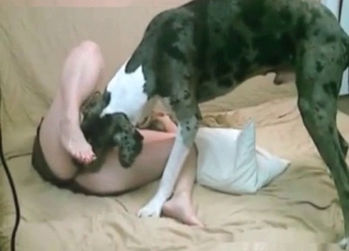 Trained dog licks her wide-opened tight vagina