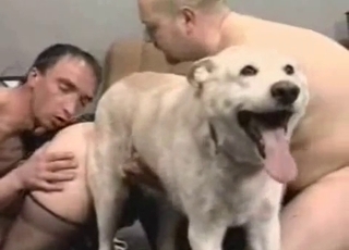 Brutal bestiality orgy with an awesome doggy