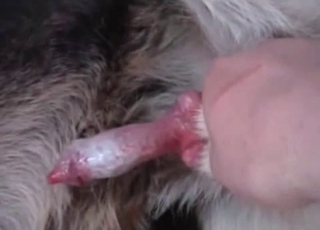 Furry boner nicely stimulated by a horny farmer