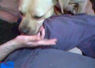 Mutt is being stimulated by a sex plaything