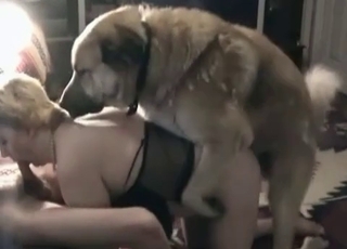 Fellatio and intensive fucky-fucky in the animal porn action