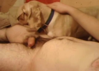Man with a big dick gets sucked off by his doggo