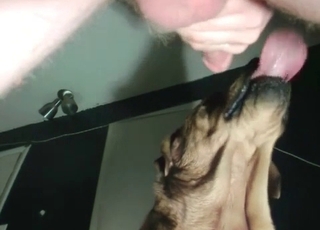 Video with intense fingering action for a wet cunt