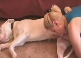 The large dick of this animal is worshipped