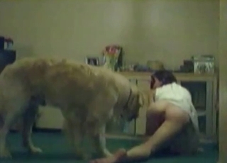 This whore wears white clothes and goes for a dog cock