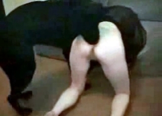 Cock hungry slut is abusing this doggo sexually