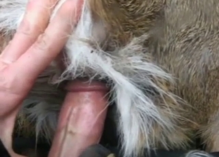 Great-looking animal porn with my hot sibling